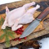 Как пожарить корнишоны на сковородке. Смотреть фото Как пожарить корнишоны на сковородке. Смотреть картинку Как пожарить корнишоны на сковородке. Картинка про Как пожарить корнишоны на сковородке. Фото Как пожарить корнишоны на сковородке