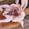 Как пожарить корнишоны на сковородке. Смотреть фото Как пожарить корнишоны на сковородке. Смотреть картинку Как пожарить корнишоны на сковородке. Картинка про Как пожарить корнишоны на сковородке. Фото Как пожарить корнишоны на сковородке