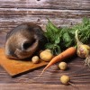 Лосиная губа рецепт приготовления. 15658109065d5460da548f9. Лосиная губа рецепт приготовления фото. Лосиная губа рецепт приготовления-15658109065d5460da548f9. картинка Лосиная губа рецепт приготовления. картинка 15658109065d5460da548f9. Подготовка лосиной губы к употреблению делится на несколько этапов: осмолить и замочить. Для того чтобы осмолить губу, вам понадобится газовая или бензиновая паяльная лампа. Сделать это в городских условиях будет тяжело, поэтому лучше выбраться на природу: в лес, на дачу.